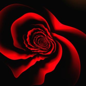 Image #3 of 12: 